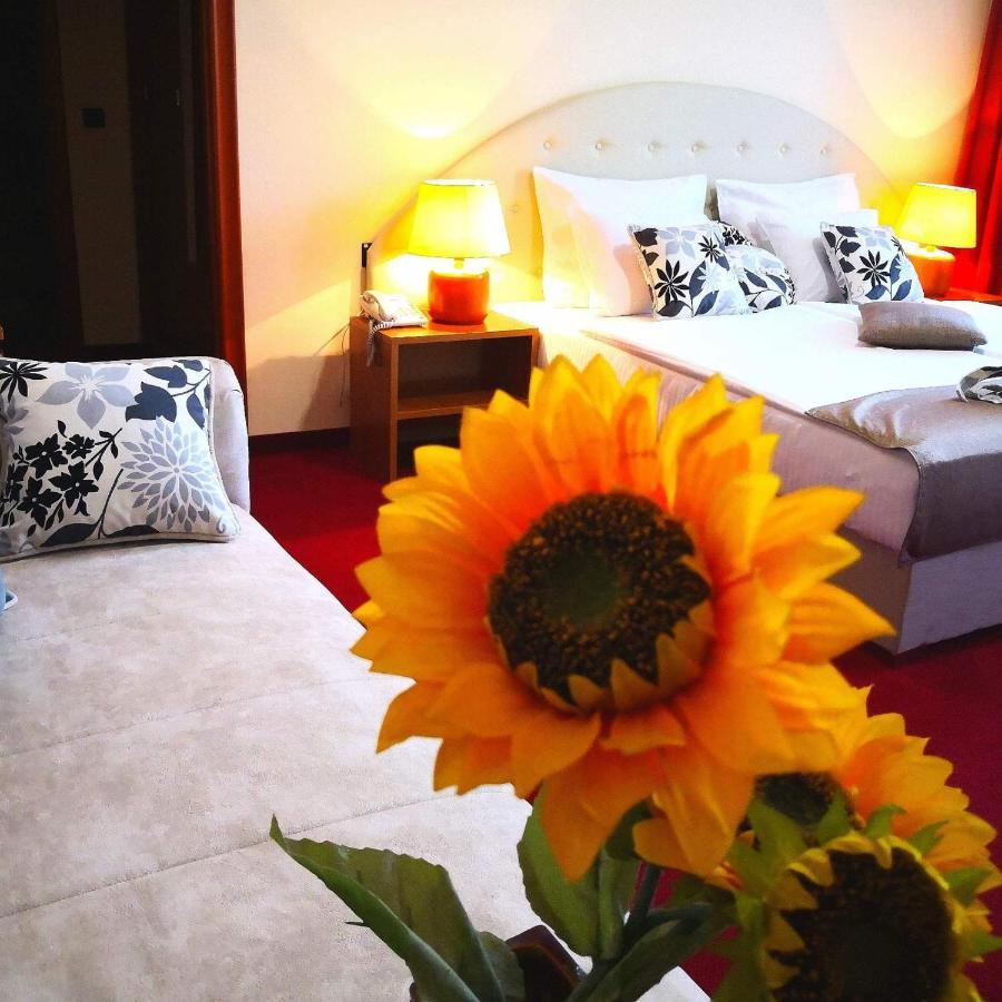 Hotel N Belgrad Dış mekan fotoğraf